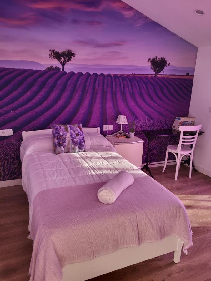 La Pedrosa Casa Rural Camarzana de Tera المظهر الخارجي الصورة